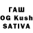 Псилоцибиновые грибы Cubensis Erem4ik Twist