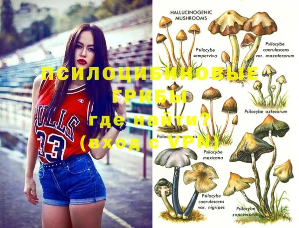твердый Алзамай