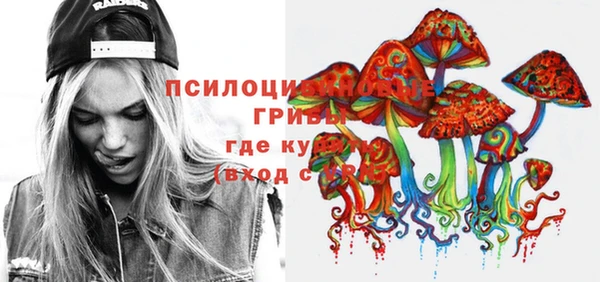 твердый Алзамай