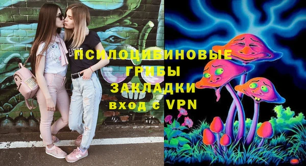 молекула духа Алексин