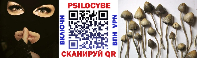 Галлюциногенные грибы MAGIC MUSHROOMS  закладки  Муравленко 